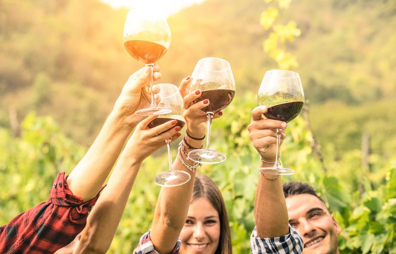 Dicas vinho para primavera