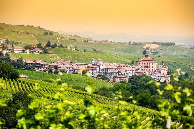Enoturismo: O que é e como escolher a melhor rota dos vinhos