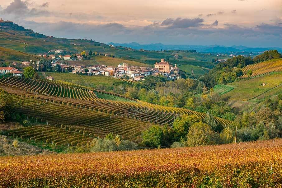 Vinho Barolo 2015: Nova safra exalta o frescor do clássico italiano