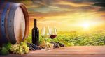 vinhos-importados-via-vini