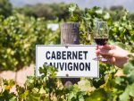 Cabernet Sauvignon: tudo o que você sempre quis saber