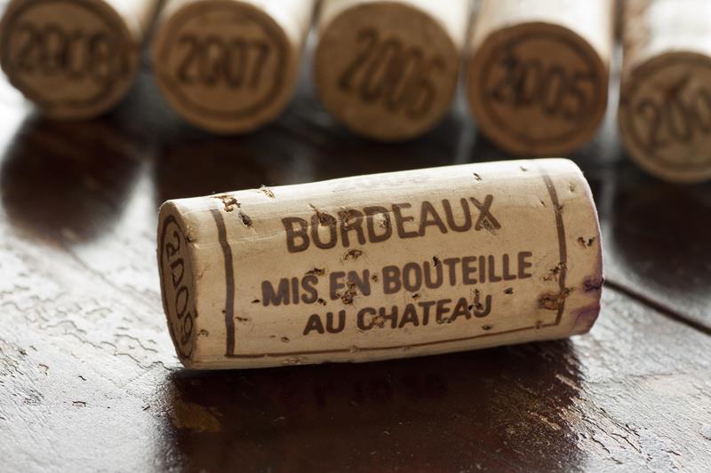 10 Dicas para Começar a Colecionar Vinhos