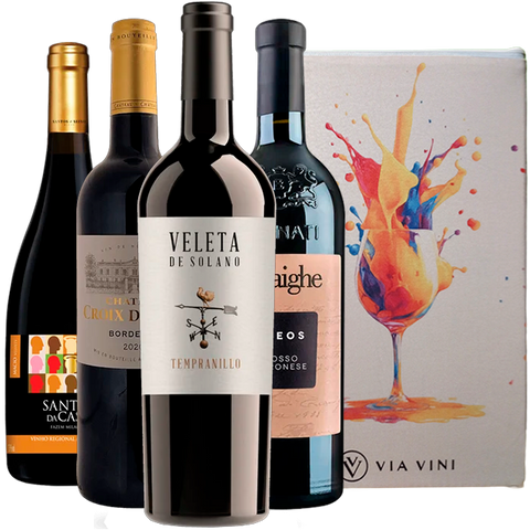Kit Vinhos Tintos do Velho Mundo Color