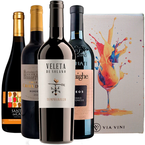 Kit Vinhos Tintos do Velho Mundo Color