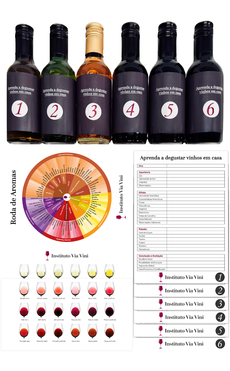Curso de Vinhos e Kit Degustação Prática