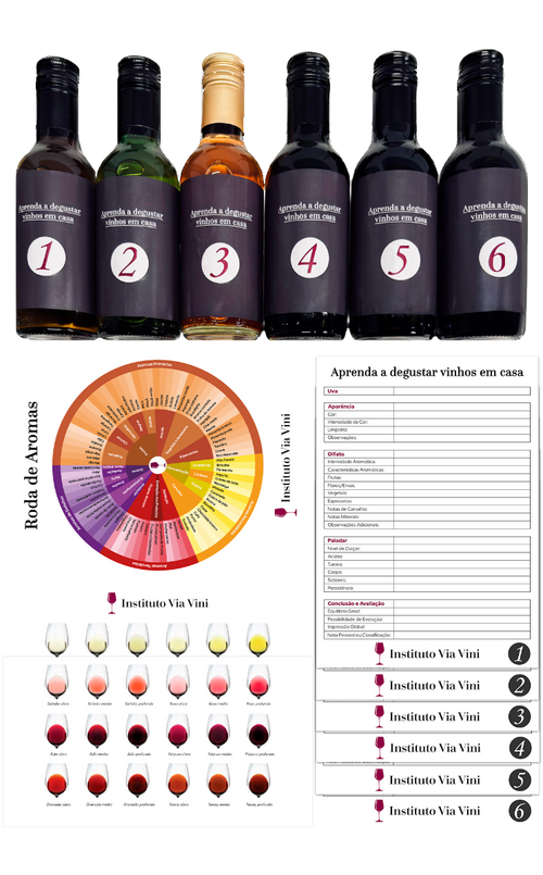 Curso de Vinhos e Kit Degustação Prática