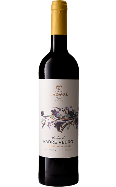 Vinho Padre Pedro Tinto