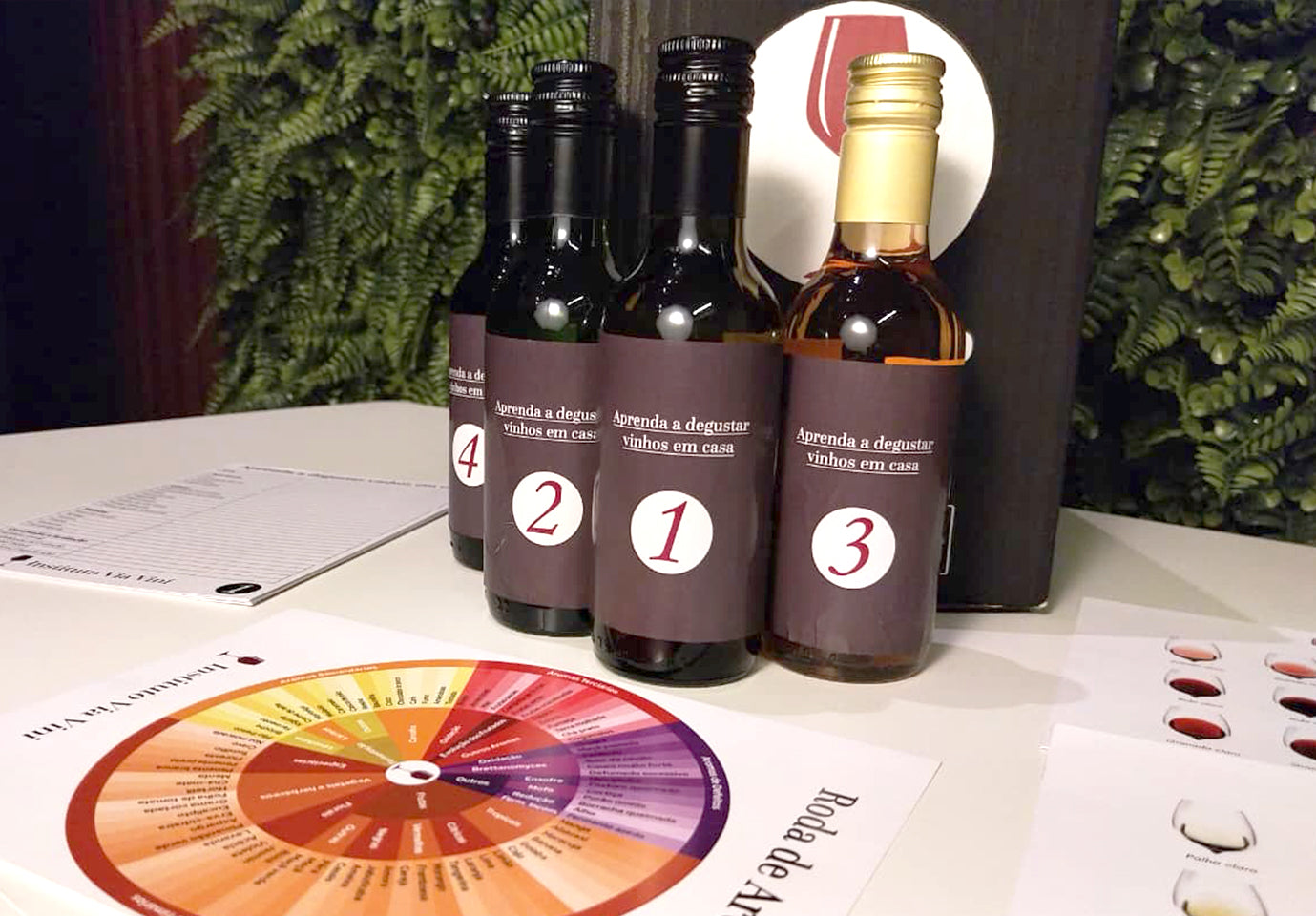 Detalhes do Kit Degustação Prática Via Vini