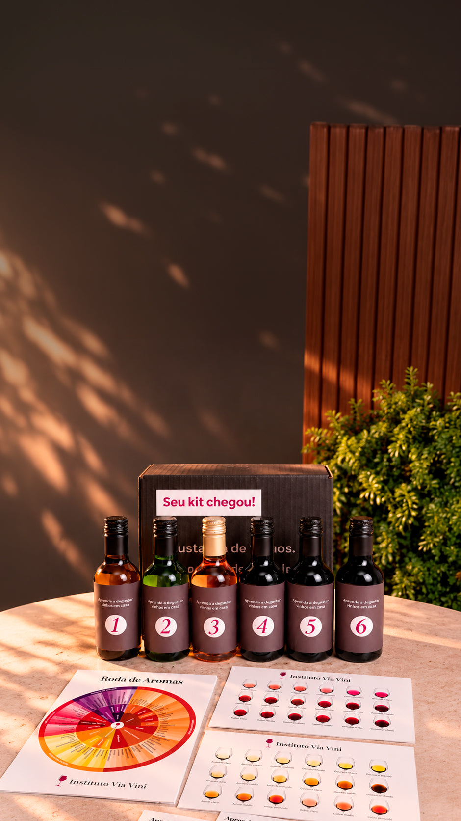 Kit Degustação Instituto Via Vini