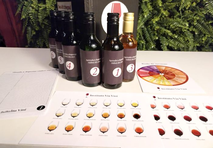 Fichas de análise sensorial e paleta de cores do Kit Via Vini