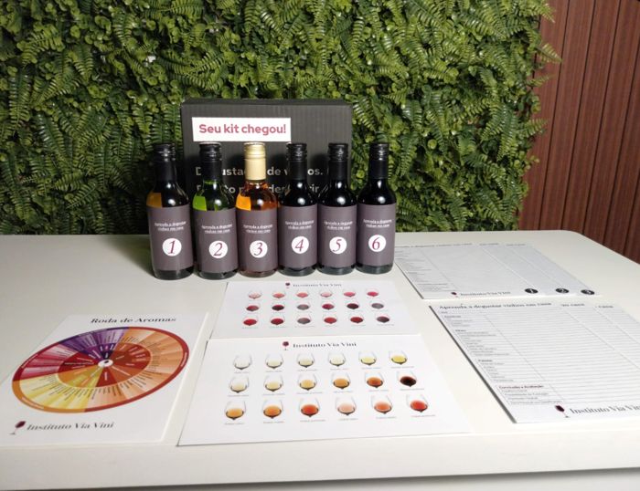 Kit Degustação Prática Via Vini com os 6 vinhos e materiais de degustação
