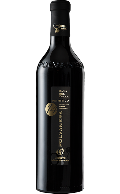 Vinho Gevrey Chambertin Domaine Camus