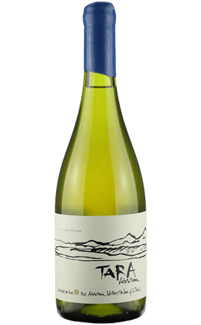 Vinho Tara Atacama Sauvignon Blanc