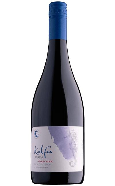 Vinho Ventisquero Tinto Seco Chile Kalfu Kuda Gran Reserva Pinot Noir 2021 750ml
