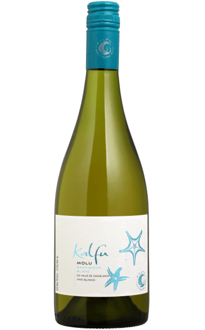 Vinho Ventisquero Branco Seco Chile Kalfu Molu Gran Reserva Sauvignon Blanc 2022 750ml