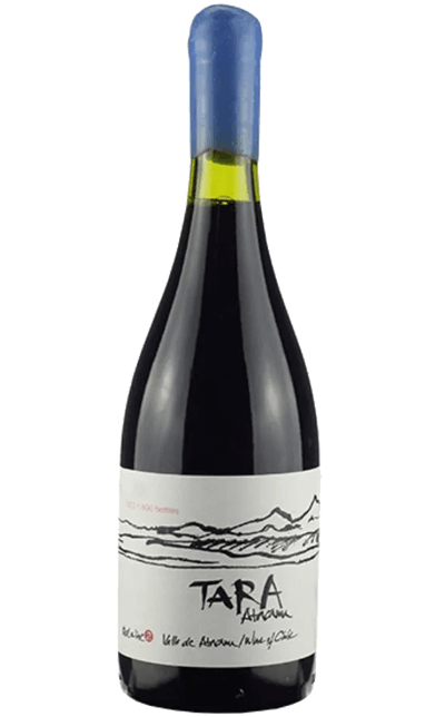 Vinho Ventisquero Tinto Seco Chile Tara Syrah 2019 750ml