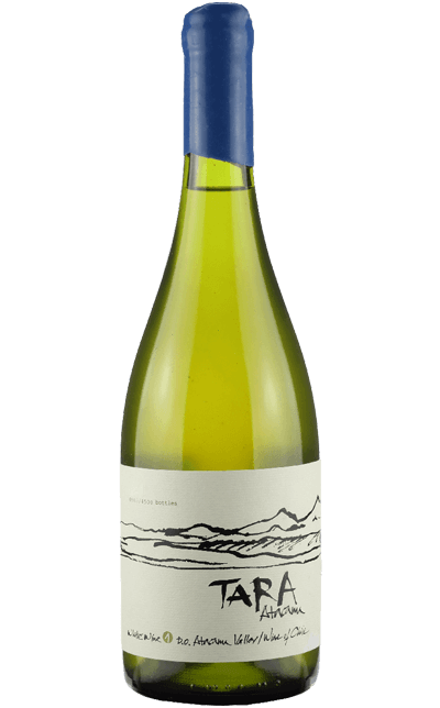Vinho Ventisquero Branco Seco Chile Tara Chardonnay 2019 750ml